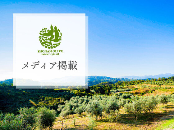 【メディア掲載】『CREA（クレア ウェブ）』に紹介されました